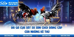 Đá Gà Cựa Sắt S8 Sân Chơi Đẳng Cấp Của Những Kê Thủ