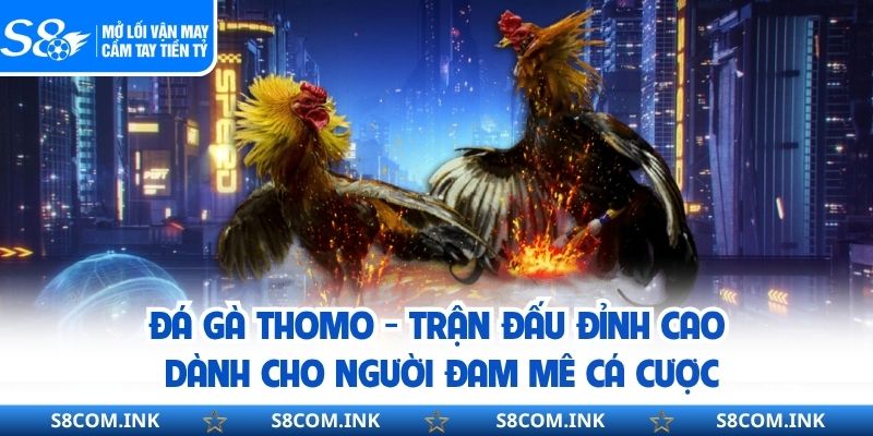 Đá Gà Thomo Trận Đấu Đỉnh Cao Dành Cho Người Đam Mê Cá Cược