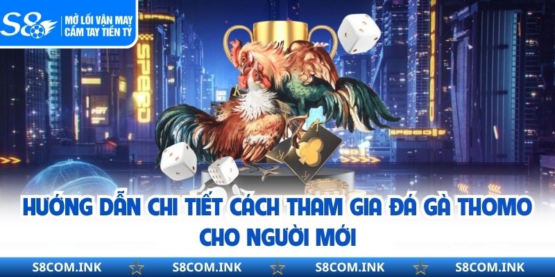 Hướng dẫn chi tiết cách tham gia đá gà Thomo cho người mới