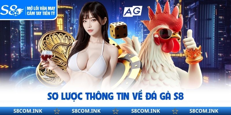 Sơ lược thông tin về đá gà S8